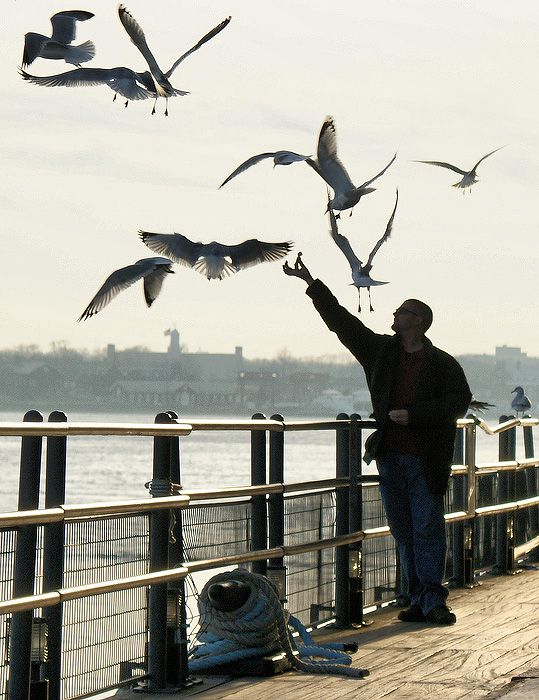 Feeding seagulls.