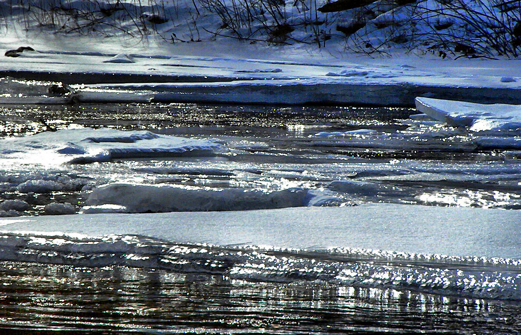 Ice on Neversink River. Vi took this picture.
