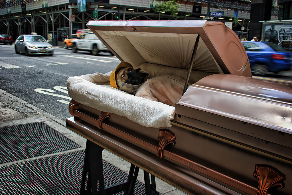 new york coffin