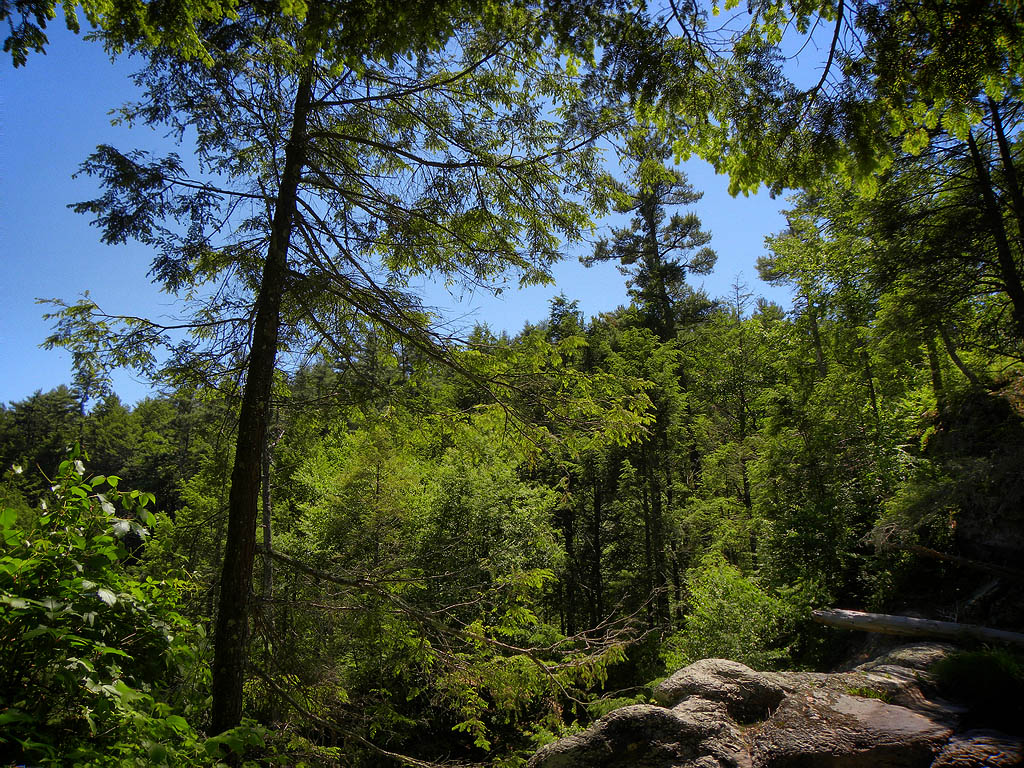 raymondskill falls