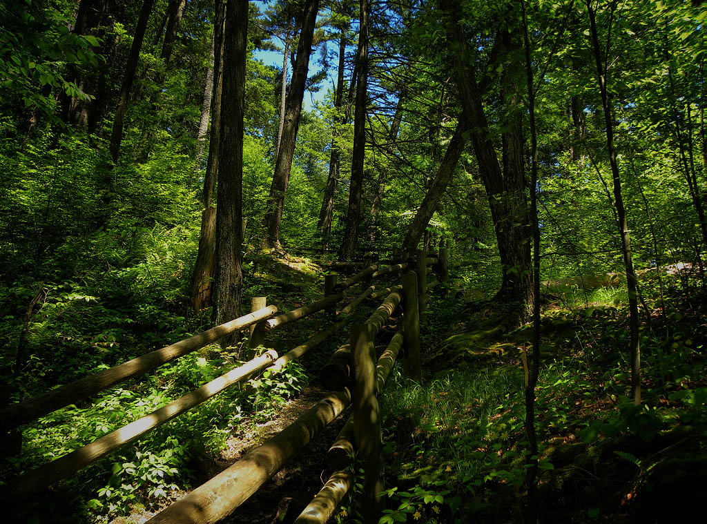 raymondskill falls