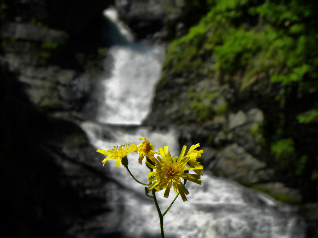 raymondskill falls