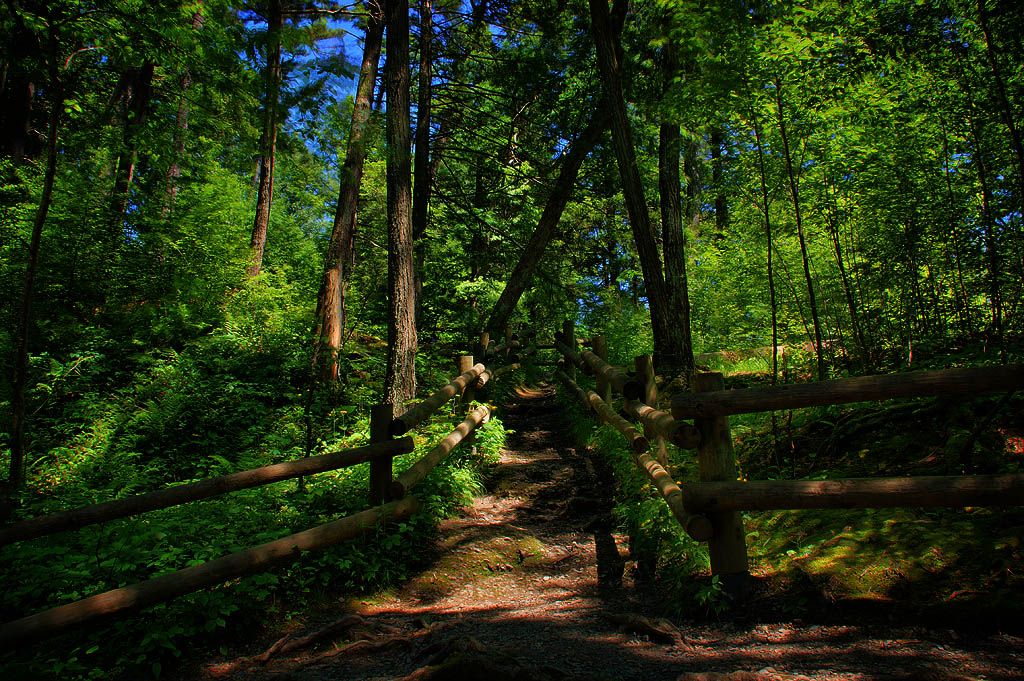 raymondskill falls